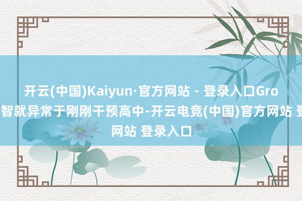 开云(中国)Kaiyun·官方网站 - 登录入口Grok 2的才智就异常于刚刚干预高中-开云电竞(中国)官方网站 登录入口