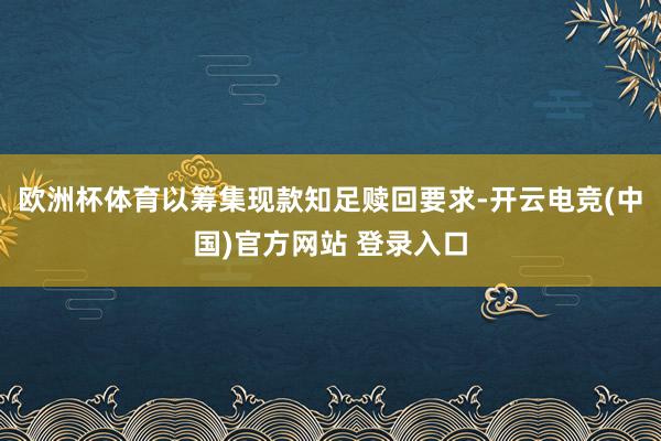 欧洲杯体育以筹集现款知足赎回要求-开云电竞(中国)官方网站 登录入口