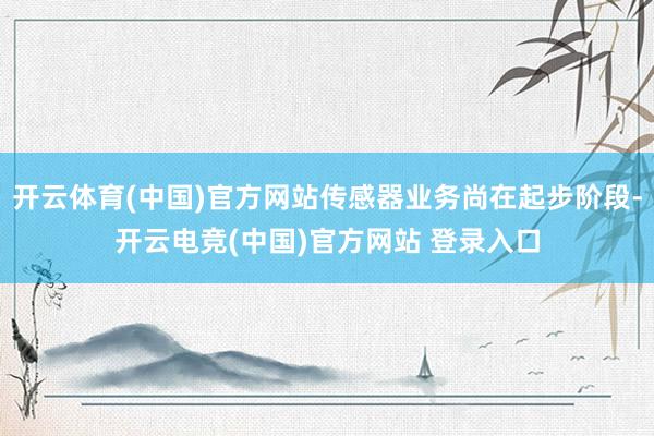 开云体育(中国)官方网站传感器业务尚在起步阶段-开云电竞(中国)官方网站 登录入口