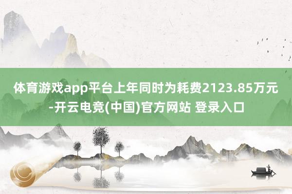 体育游戏app平台上年同时为耗费2123.85万元-开云电竞(中国)官方网站 登录入口