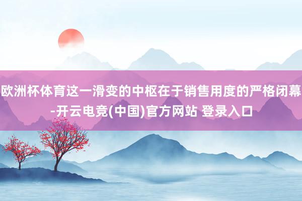 欧洲杯体育这一滑变的中枢在于销售用度的严格闭幕-开云电竞(中国)官方网站 登录入口