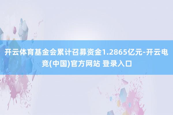 开云体育基金会累计召募资金1.2865亿元-开云电竞(中国)官方网站 登录入口