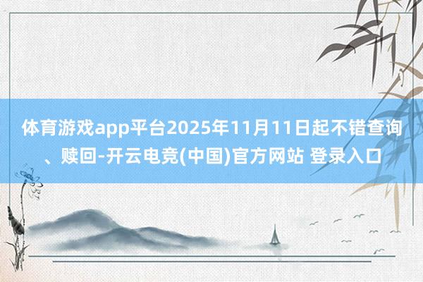 体育游戏app平台2025年11月11日起不错查询、赎回-开云电竞(中国)官方网站 登录入口